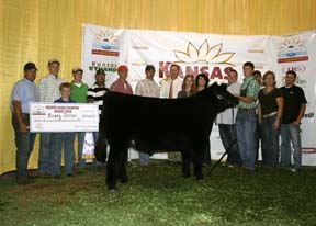 Reserve Overall Steer