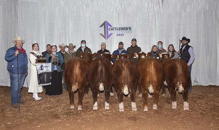 Overall Champion Pen of 5 Hereford Bulls