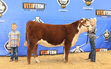 KJ BJ B002 MISTY 054E ET