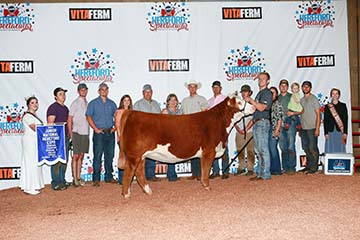 KJ BJ 746D Hot Coco 071H ET