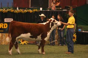 KJ BJ 750P Pure Vickie 168X