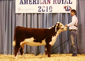 KJ BJ 750P Vickie 168X