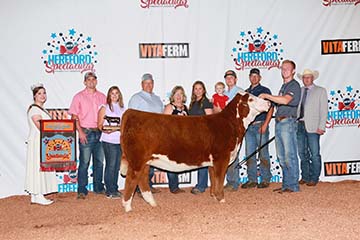 KJ BJ DPH F5 Gemstone 181H ET