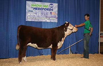 KJ BJ 325S Velvet 719Z