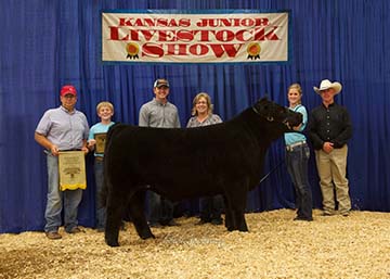 Reserve Grand Champion Steer