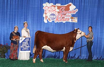 KJ BJ 236X Timewise 582D ET