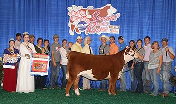 KJ BJ 339A Coco Creme 746D ET