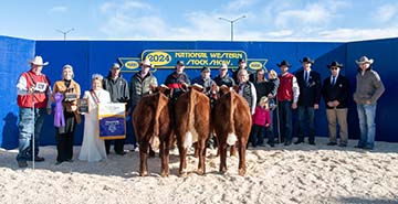 2024 Champion Pen of 3 Heifers NWSS