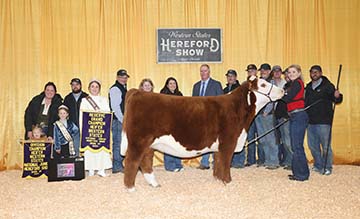 KJ 746D COCO CARMEL 321L ET