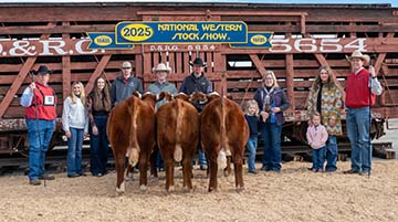 2025 NWSS Pen of 3 Heifers