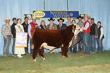 KJ 236X Landmark 210F