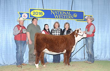 KJ BJ 686Z Salsa 264C