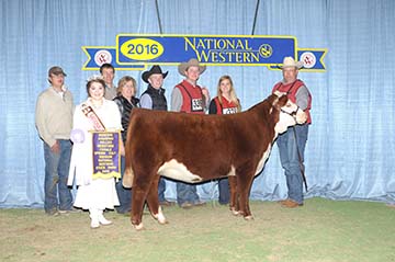 KJ BK 319X Velvet 322C ET