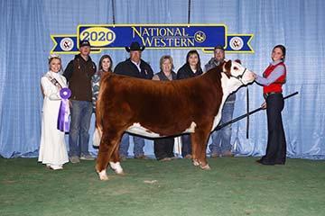 KJ BJ 969A Misty 414F ET