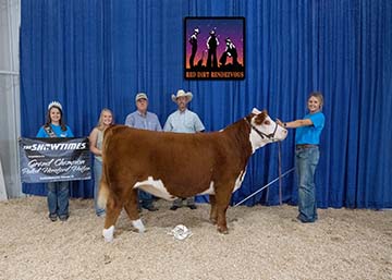 KJ 746D Coco Dream 501G