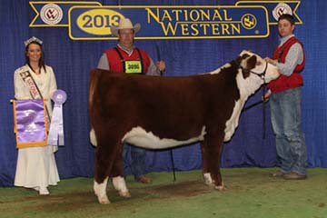 KJ 968R ZSA ZSA 686Z ET