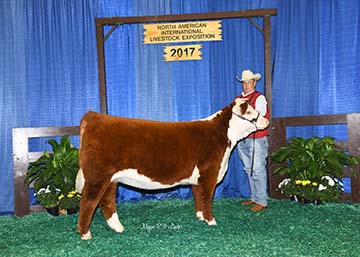 KJ BJ 686Z CHER 753D ET