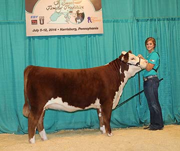 KJ 274S Country Girl 876A ET