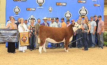 KJ BJ 339A Adabelle 899E ET