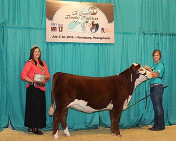 KJ BJ 319X Velvet 999A