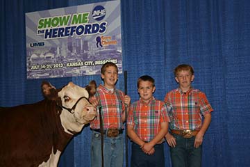 Champion Team Marketing