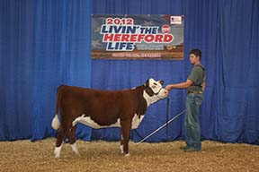 KJ BJ 857U Bridgett 633Y