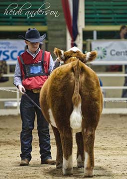 Class winner and Reserve division champion