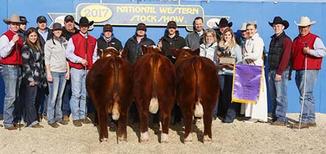 Champion Overall Pen of Three bulls at Denver 2017