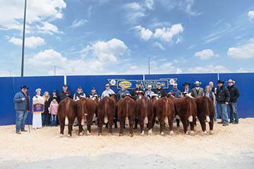 2022 National Western Stock Show Grand Champion Carload