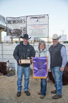 Champion Overall Pen of Three bulls