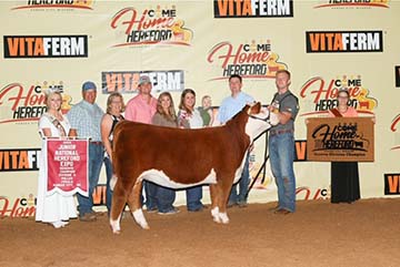 KJ BJ 310 Harley 460G