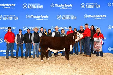 KJ MHPH RW 364C Media 240J