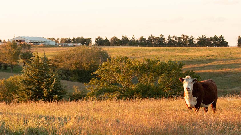 Jensen Bros Salsa on the Farm